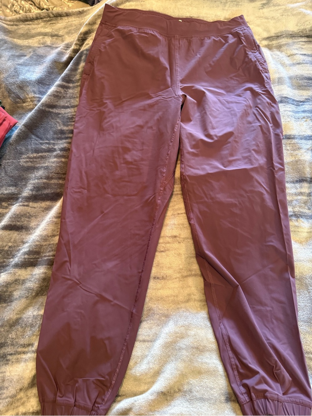 lululemon athletica Plum Track Joggers